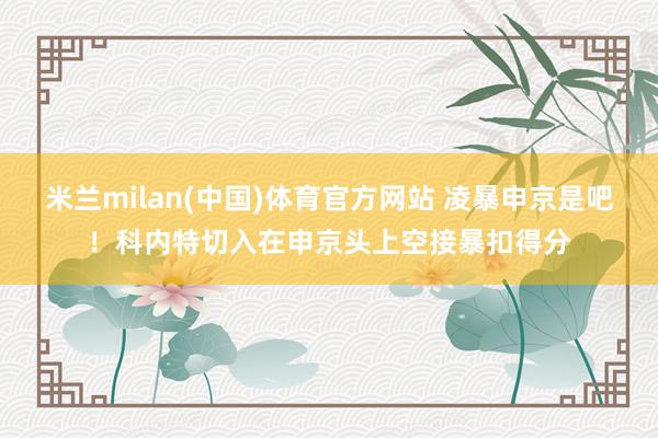 米兰milan(中国)体育官方网站 凌暴申京是吧！科内特切入在申京头上空接暴扣得分