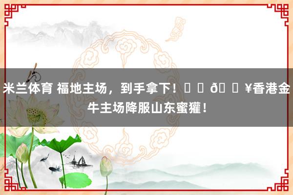 米兰体育 福地主场，<a href=