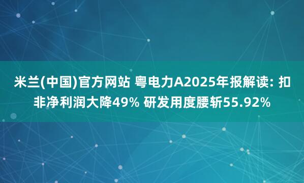 米兰(中国)官方网站 粤电力A2025年报解读: 扣非净利润大降49% 研发用度腰斩55.92%
