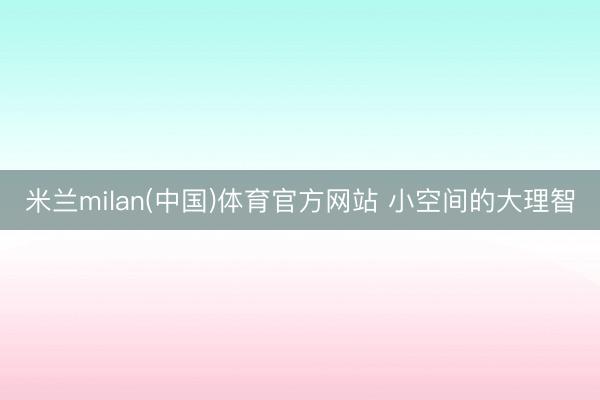米兰milan(中国)体育官方网站 小空间的大理智