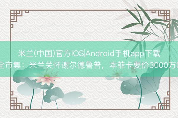 米兰(中国)官方IOS|Android手机app下载 全市集：米兰关怀谢尔德鲁普，本菲卡要价3000万欧