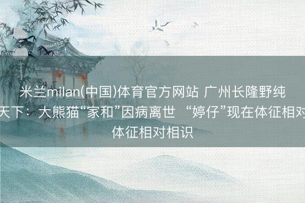米兰milan(中国)体育官方网站 广州长隆野纯真物天下：大熊猫“家和”因病离世  “婷仔”现在体征相对相识