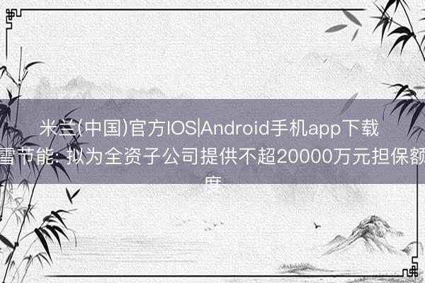 米兰(中国)官方IOS|Android手机app下载 晶雪节能: 拟为全资子公司提供不超20000万元担保额度