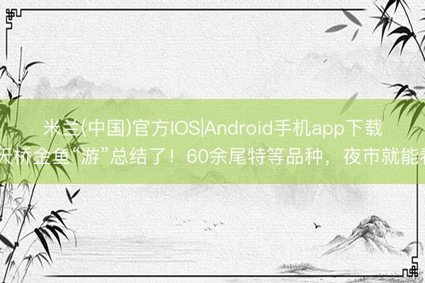米兰(中国)官方IOS|Android手机app下载 天桥金鱼“游”总结了！60余尾特等品种，夜市就能看