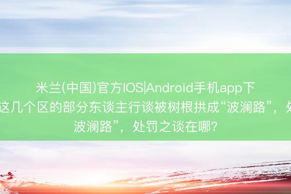 米兰(中国)官方IOS|Android手机app下载 民声现场·这几个区的部分东谈主行谈被树根拱成“波澜路”,处罚之谈在哪?